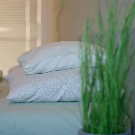 Purple Apartman